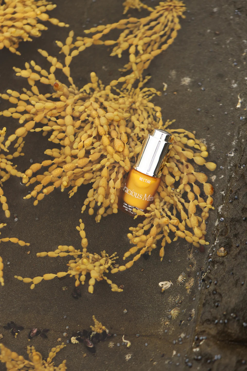NECTAR COMPLEX FIRMING EYE SERUM
