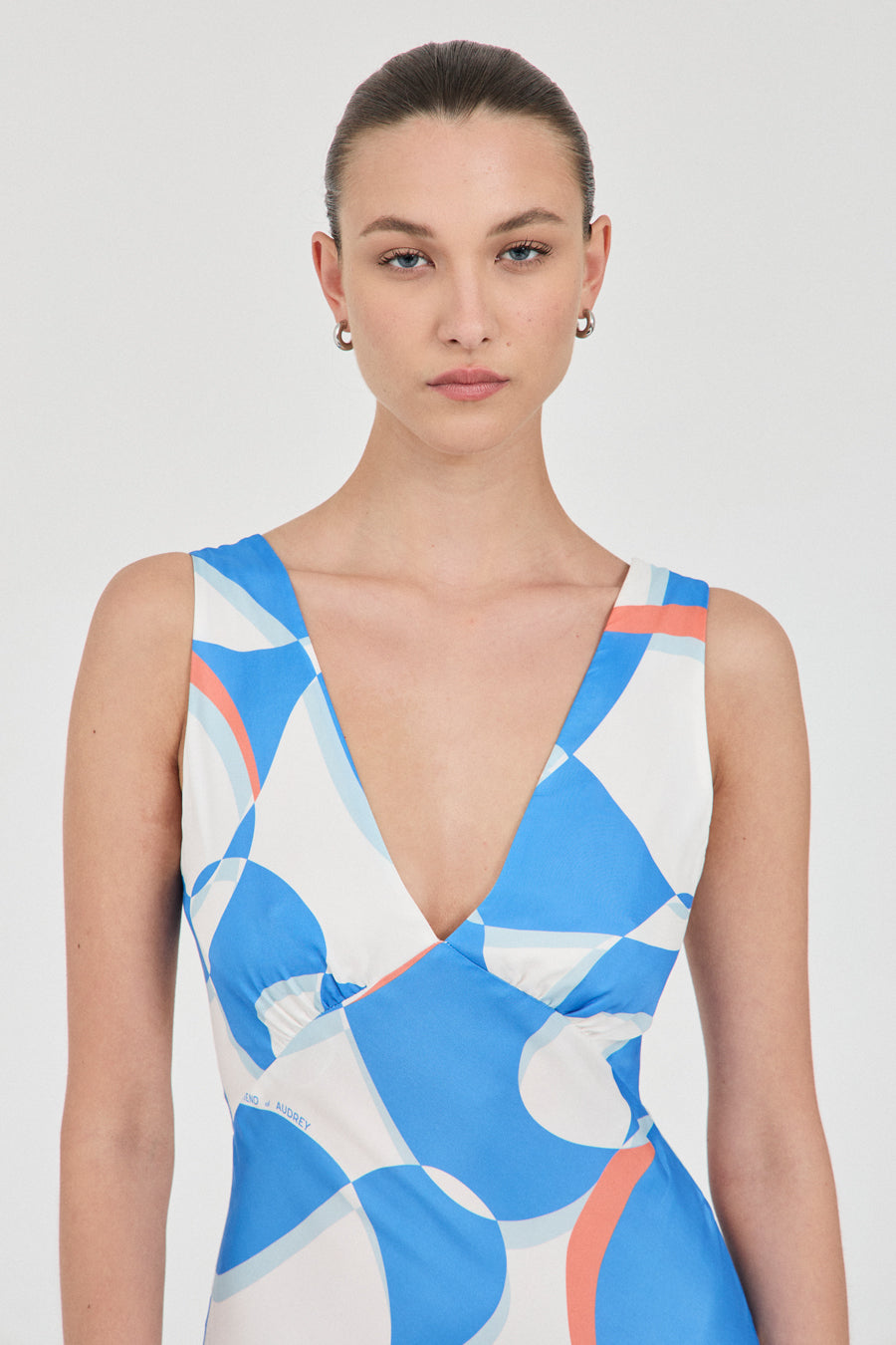 Evelyn Cupro Panel Dress - Print