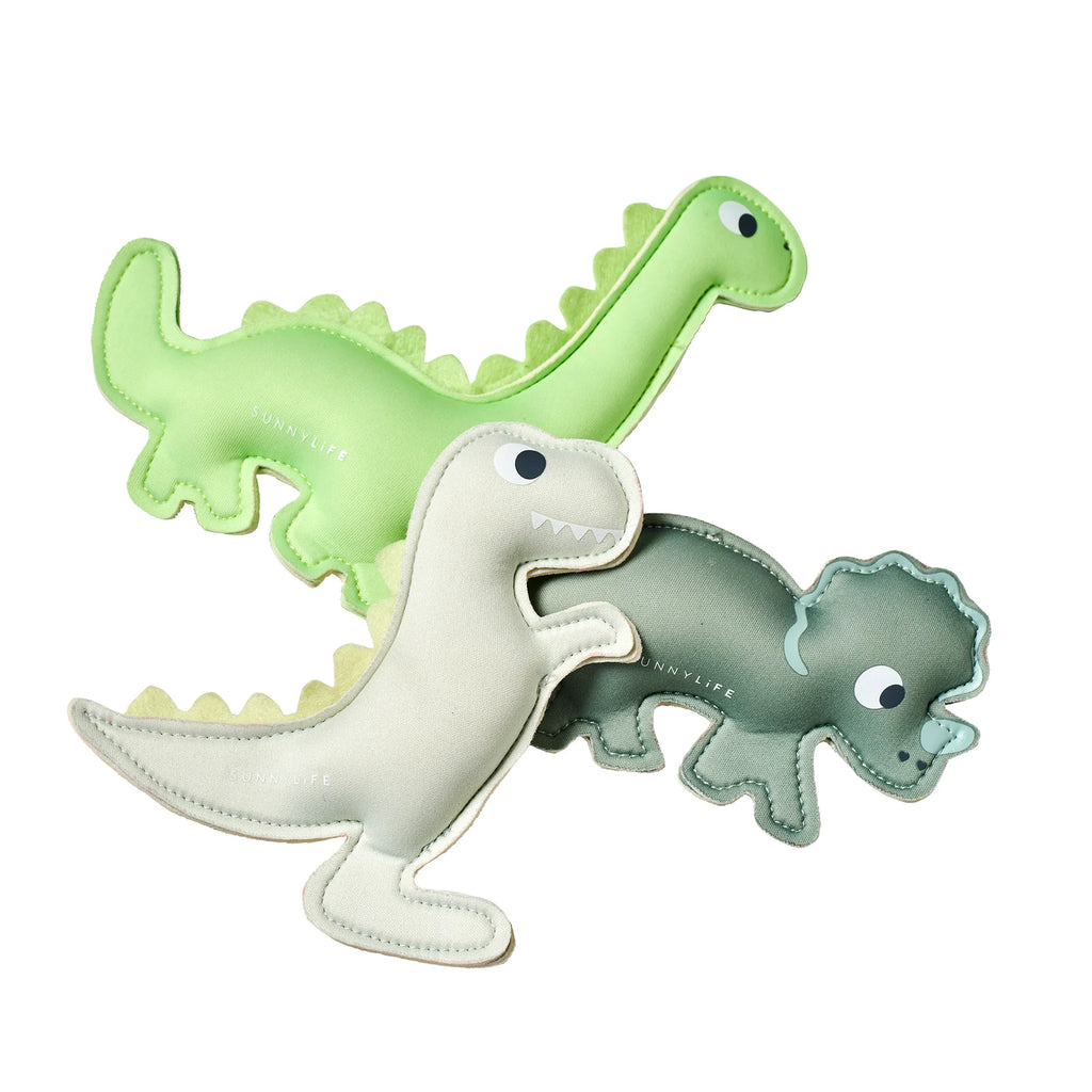 Dive Buddies - Dino