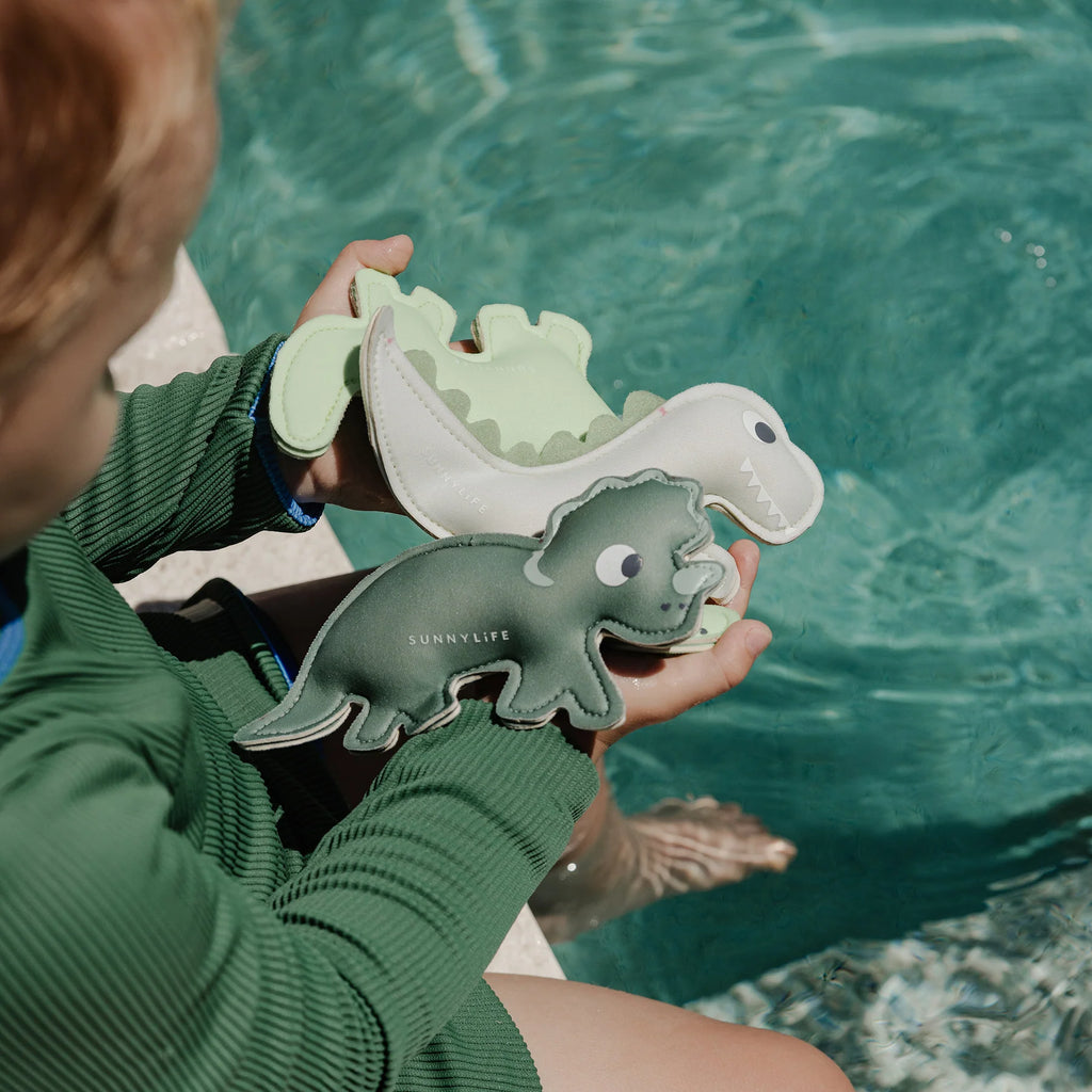 Dive Buddies - Dino