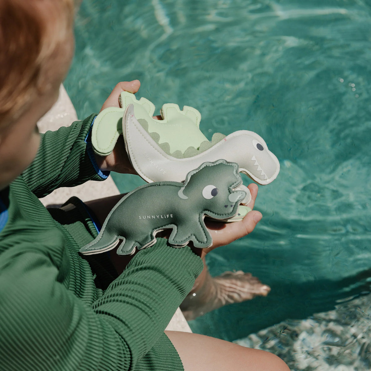 Dive Buddies - Dino