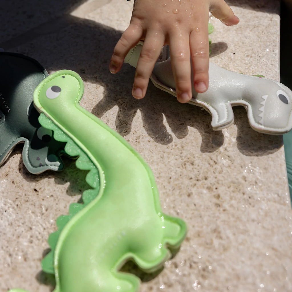Dive Buddies - Dino