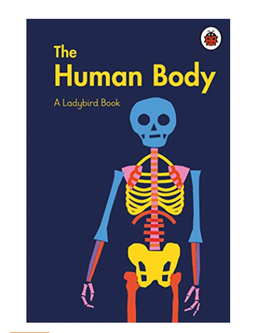 The Human Body