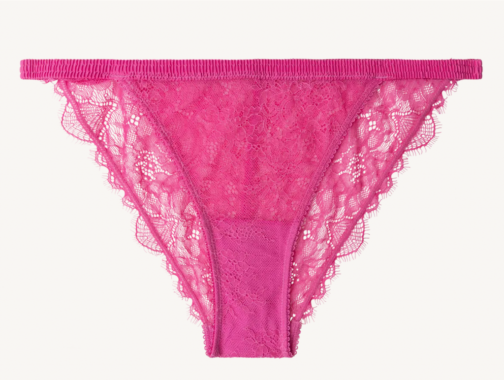 Wild Rose Lace Briefs - Pink