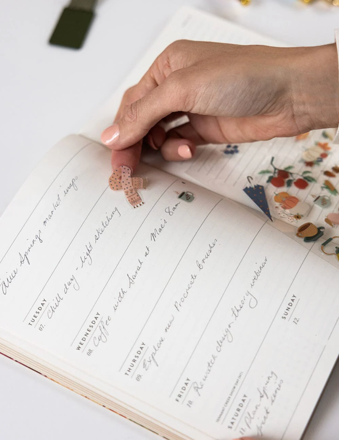 2026 Weekly Planner Notebook - Fairy Wren