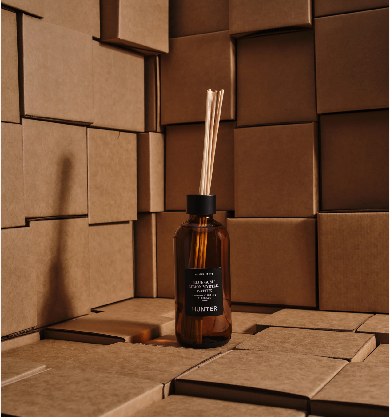 The Reeds - Australia