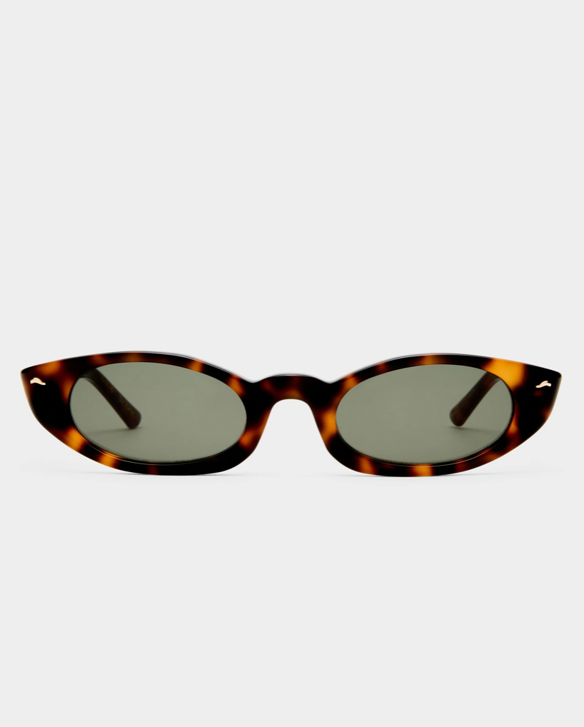 The Tortue - Tort
