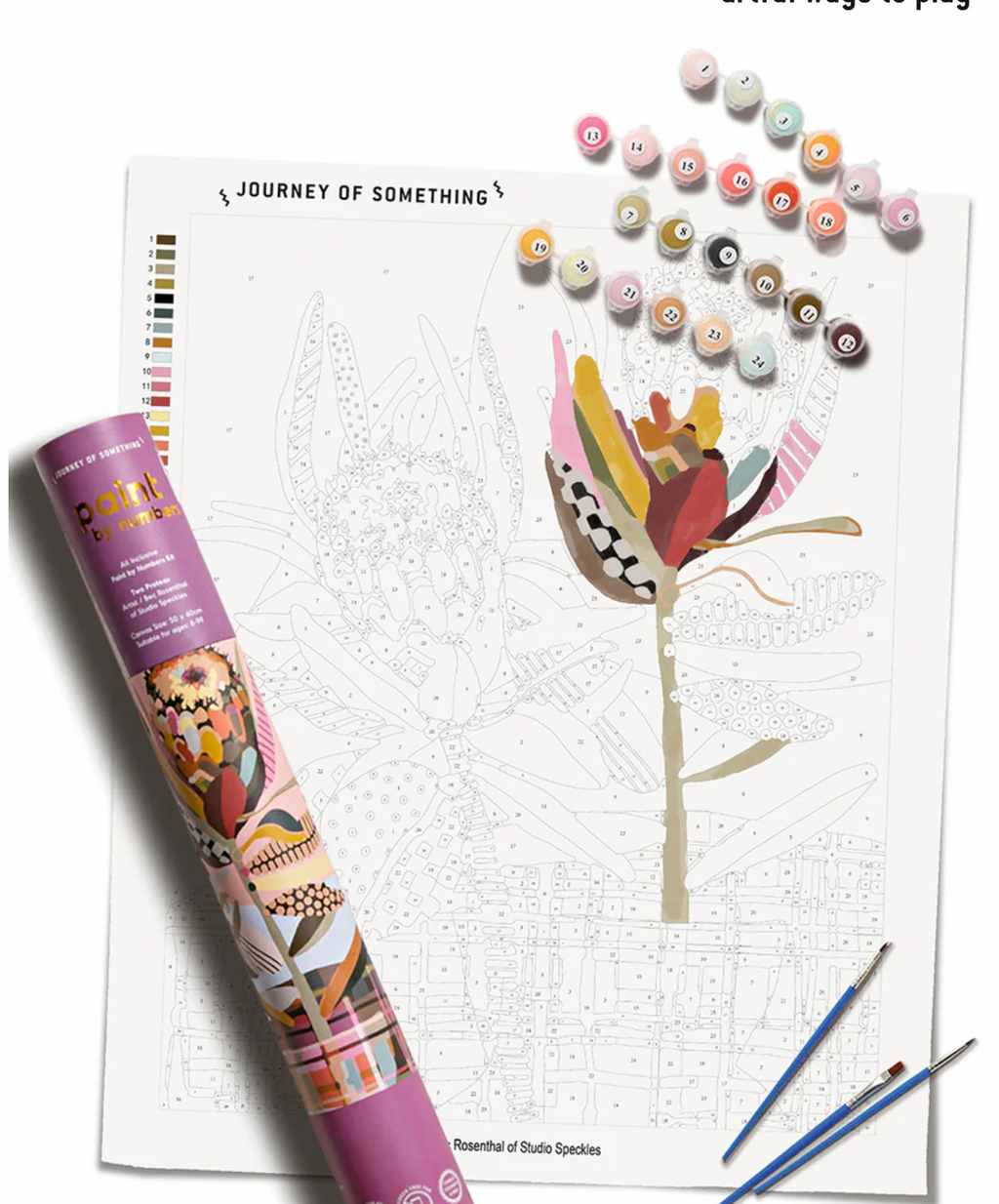 Paint by Numbers - Two Proteas