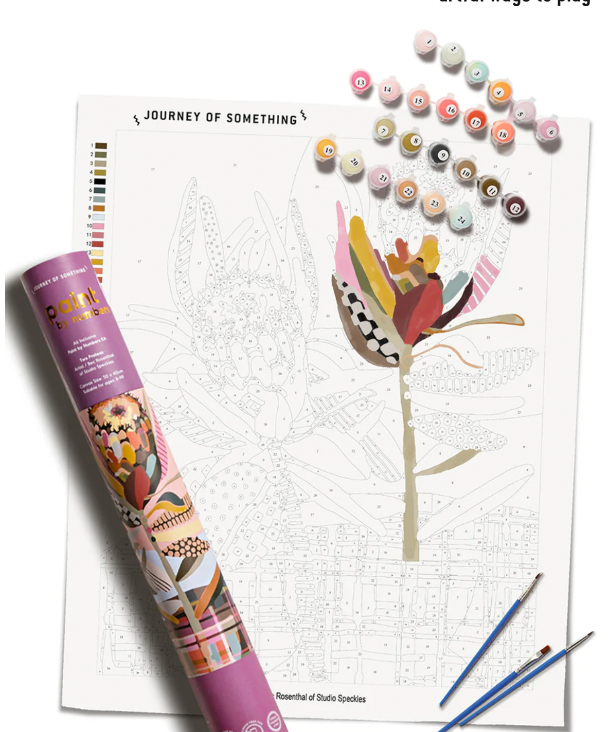 Paint by Numbers - Two Proteas