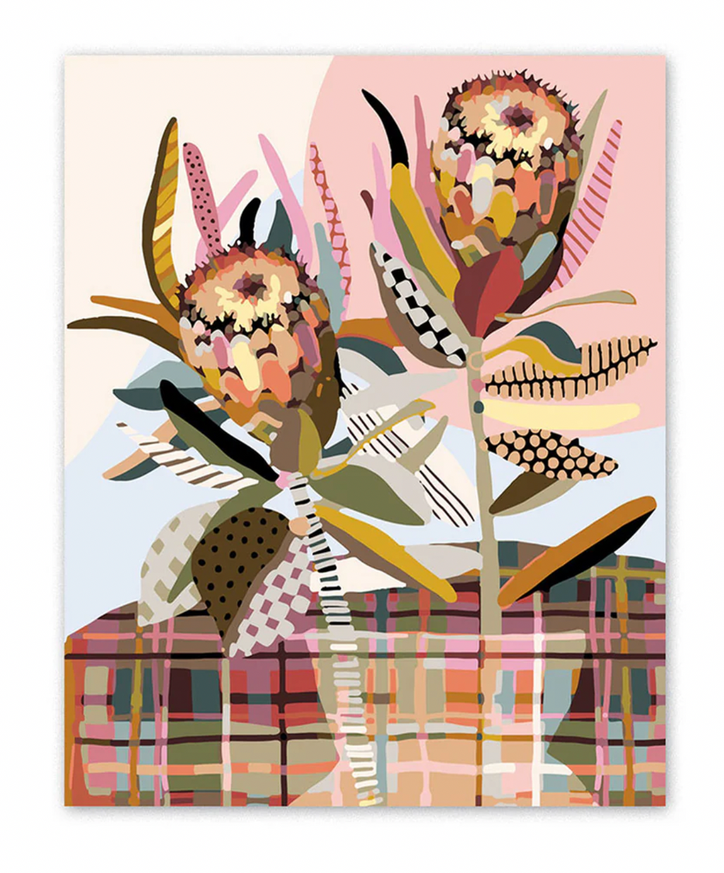 Paint by Numbers - Two Proteas