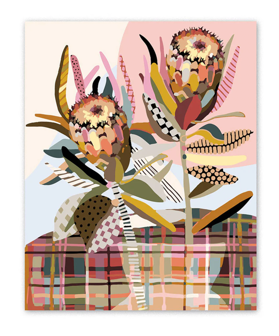 Paint by Numbers - Two Proteas