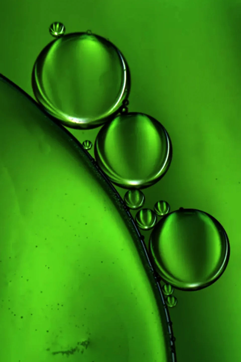 PHOTOSYNTHESIS RETINOL ALTERNATIVE ELIXIR